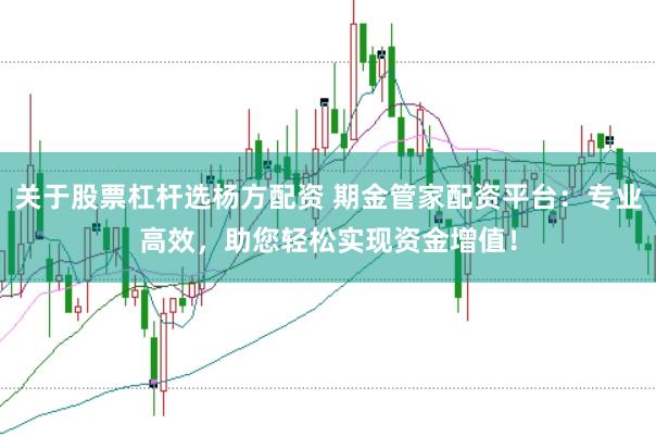 关于股票杠杆选杨方配资 期金管家配资平台：专业高效，助您轻松实现资金增值！