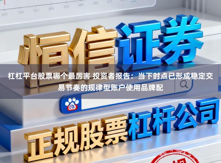 杠杠平台股票哪个最厉害 投资者报告：当下时点已形成稳定交易节奏的规律型账户使用品牌配