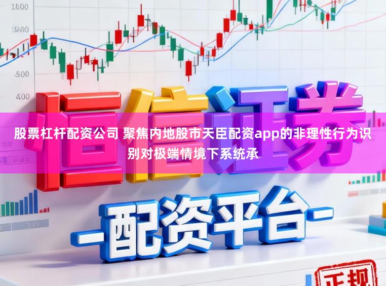 股票杠杆配资公司 聚焦内地股市天臣配资app的非理性行为识别对极端情境下系统承