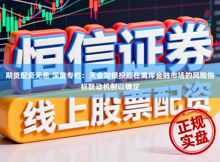 期货配资无息 深度专栏：天金加银投顾在离岸金融市场的风险指标联动机制以确定