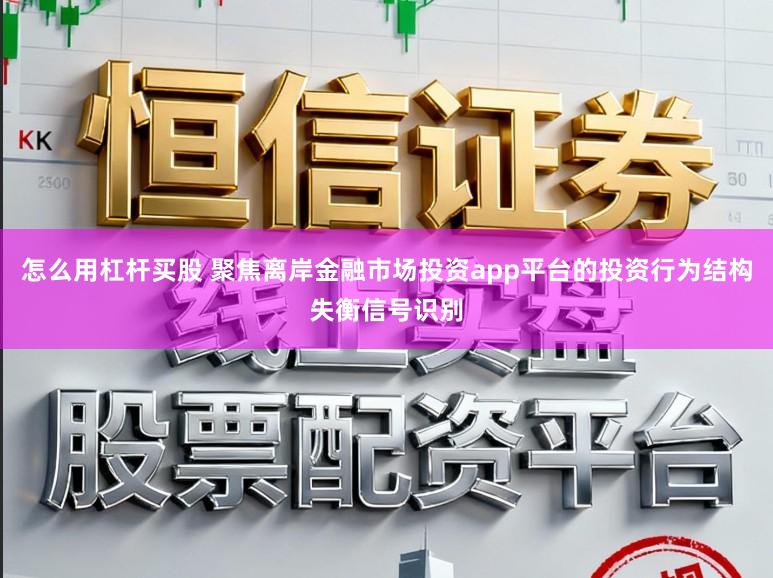 怎么用杠杆买股 聚焦离岸金融市场投资app平台的投资行为结构失衡信号识别